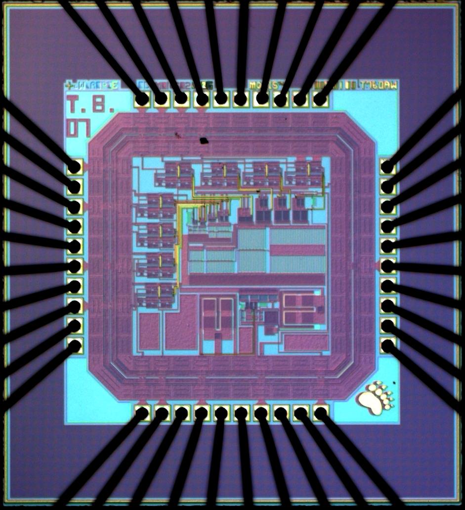 microchip photograph