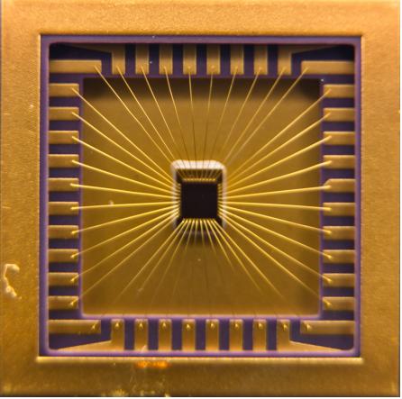 photo of microchip