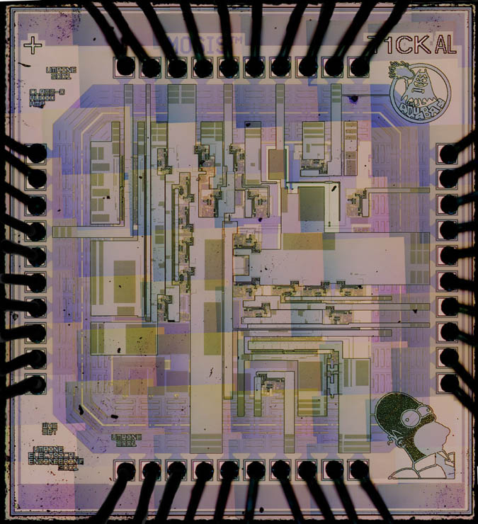 microchip photograph